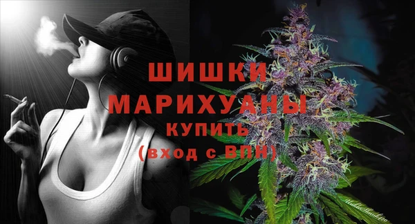 ПСИЛОЦИБИНОВЫЕ ГРИБЫ Пересвет