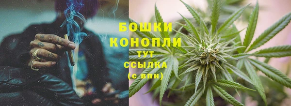 ПСИЛОЦИБИНОВЫЕ ГРИБЫ Пересвет